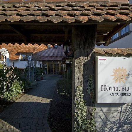 Hotel Blume Freiburg im Breisgau Buitenkant foto