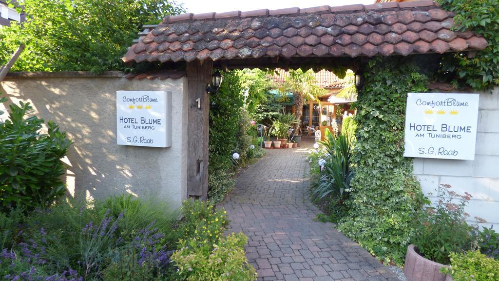 Hotel Blume Freiburg im Breisgau Buitenkant foto