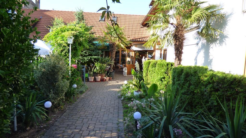 Hotel Blume Freiburg im Breisgau Buitenkant foto