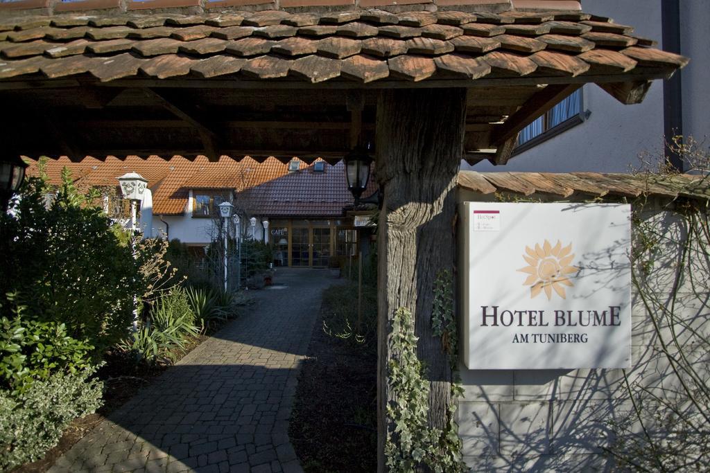 Hotel Blume Freiburg im Breisgau Buitenkant foto