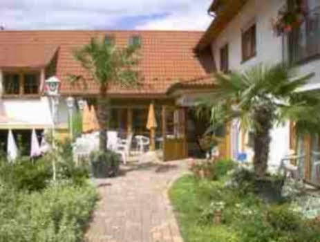Hotel Blume Freiburg im Breisgau Buitenkant foto